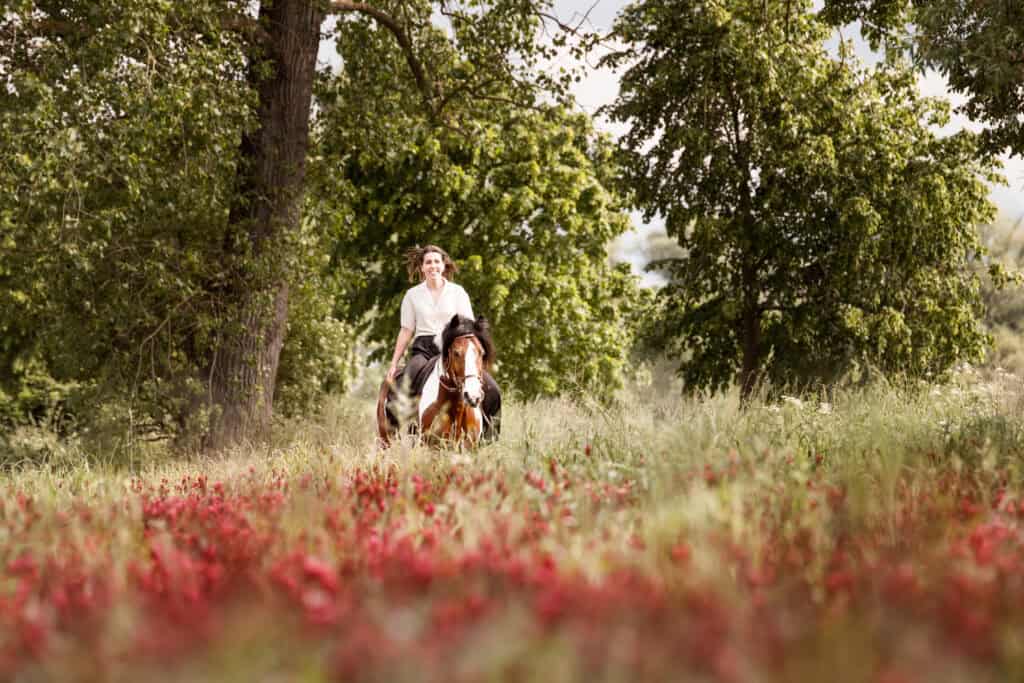 Reiterin auf Pferd in blühender Blumenwiese, Naturaufnahme.