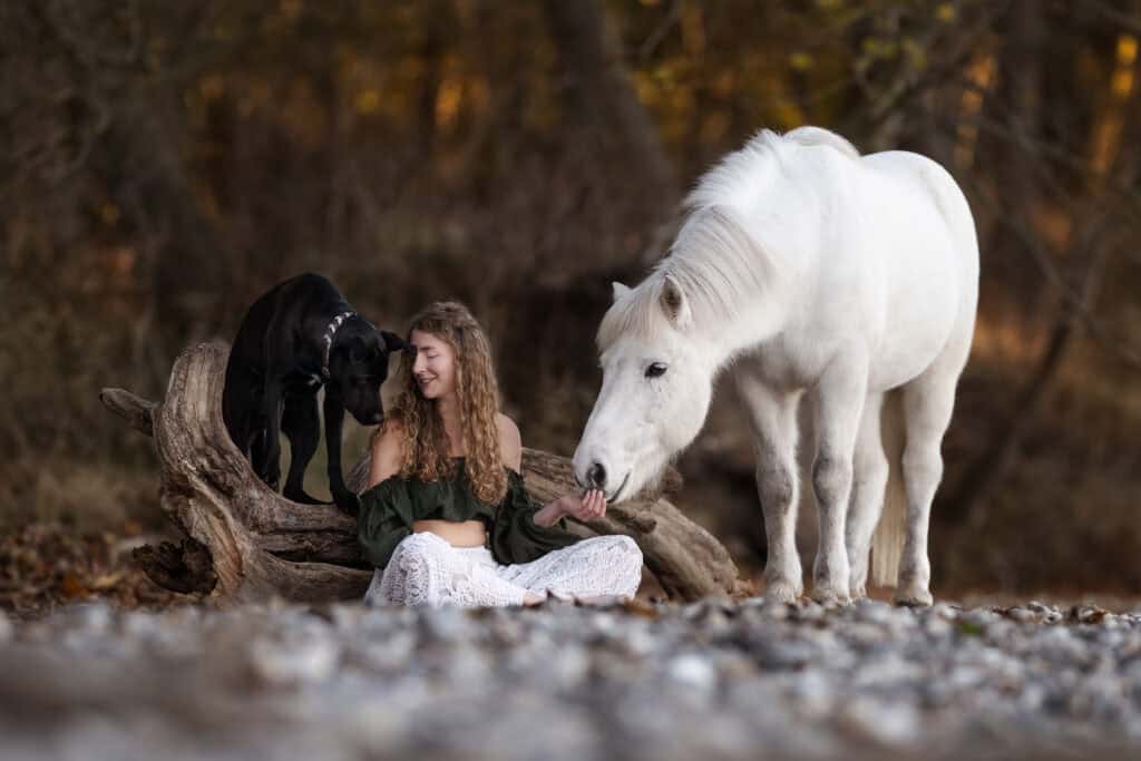 Frau mit weißem Pferd und schwarzem Hund in natürlicher Waldumgebung.